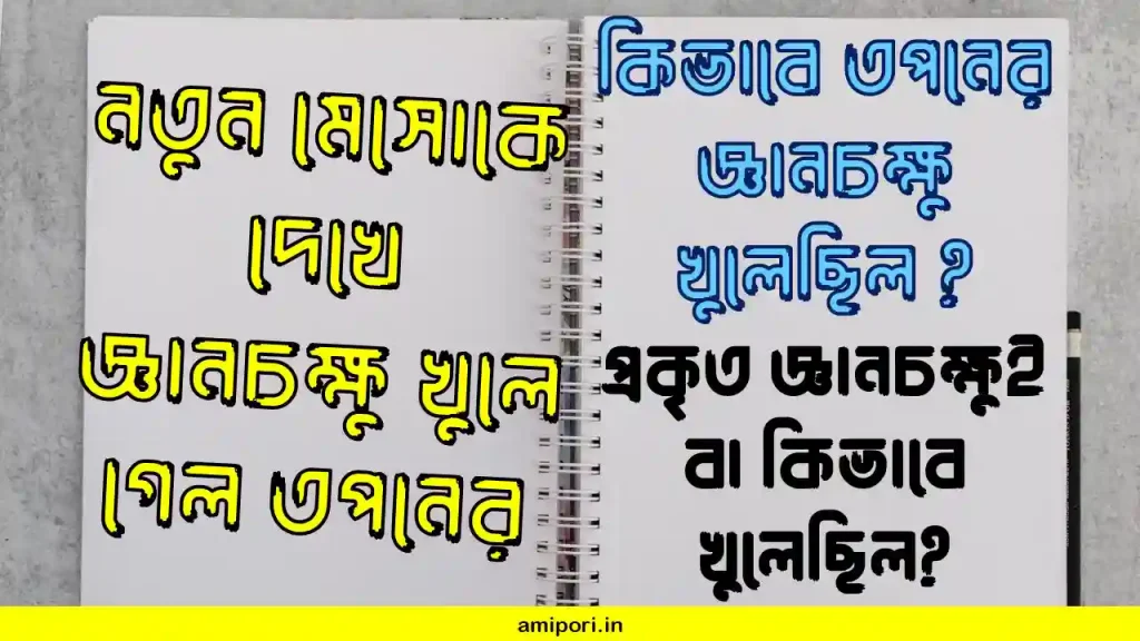 নতুন মেসোকে দেখে জ্ঞানচক্ষু খুলে গেল তপনের