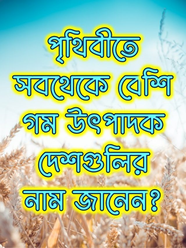 পৃথিবীতে সবথেকে বেশি গম উৎপাদক দেশগুলির নাম জানেন