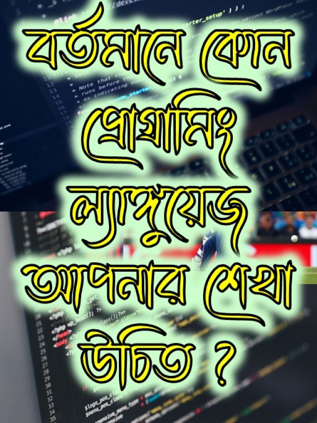 বর্তমানে কোন প্রোগ্রামিং ল্যাঙ্গুয়েজ আপনার শেখা উচিত