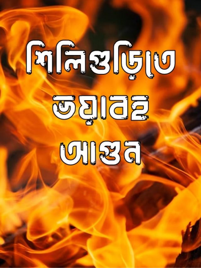 শিলিগুড়িতে ভয়াবহ আগুন