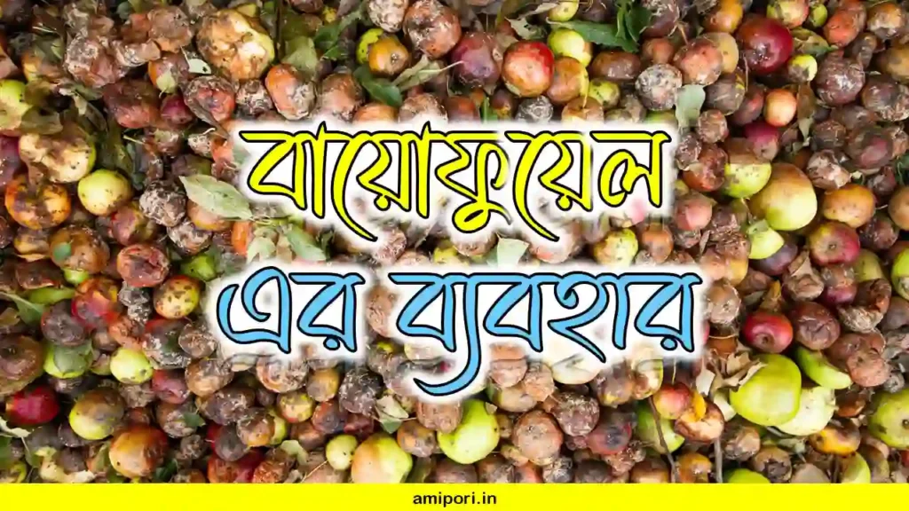 বায়োফুয়েল এর ব্যবহার