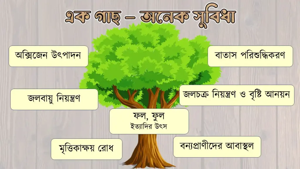 গাছের উপকারীতা রচনা